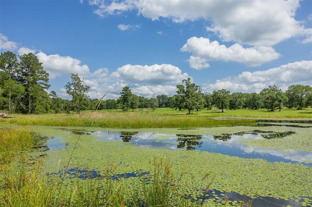 200+/- AC Fm-2620, Bedias, Texas image 38