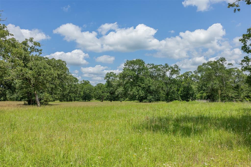 200+/- AC Fm-2620, Bedias, Texas image 31