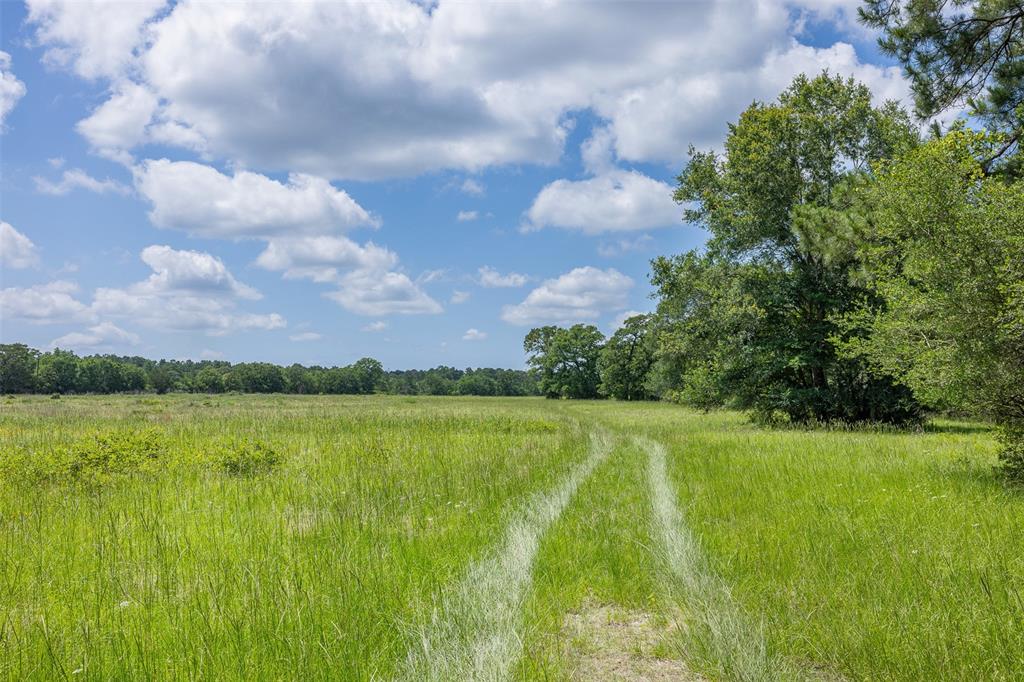 200+/- AC Fm-2620, Bedias, Texas image 30