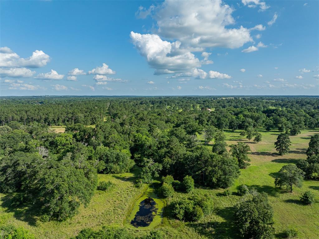 200+/- AC Fm-2620, Bedias, Texas image 47