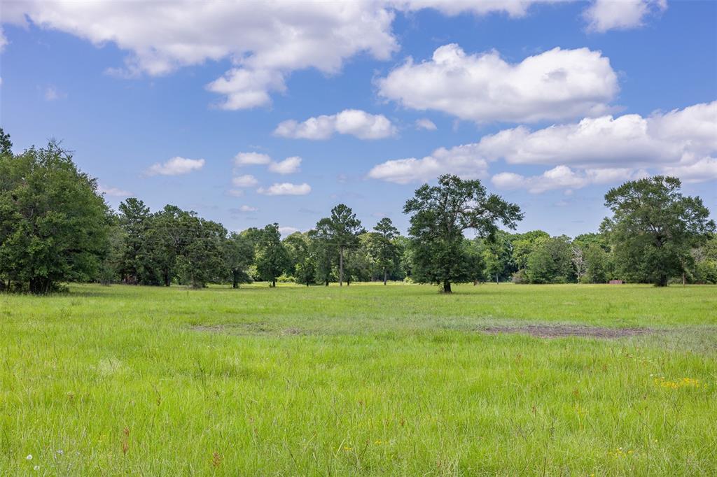 200+/- AC Fm-2620, Bedias, Texas image 28