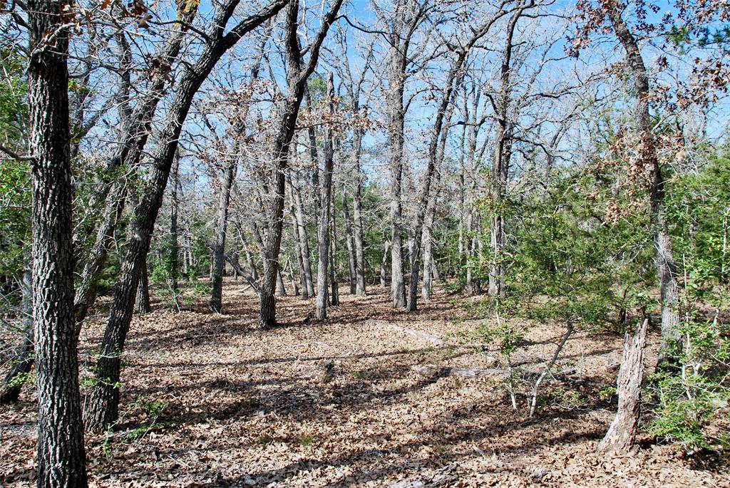 1727 Davis Road, Muldoon, Texas image 11