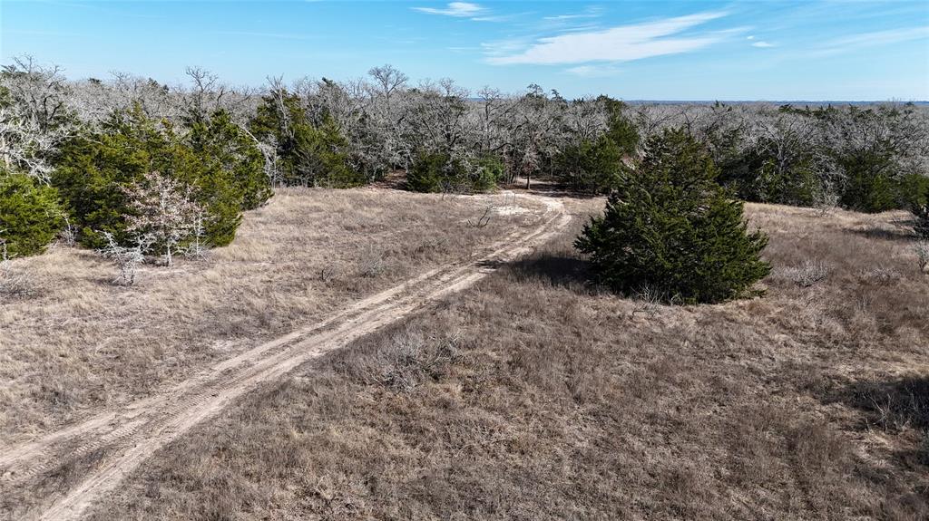 1727 Davis Road, Muldoon, Texas image 4