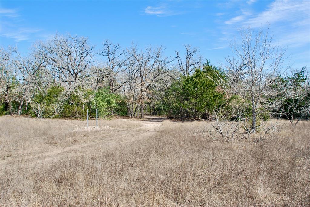 1727 Davis Road, Muldoon, Texas image 17