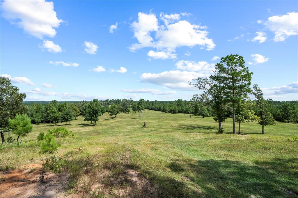TBD Fm 980, Point Blank, Texas image 1