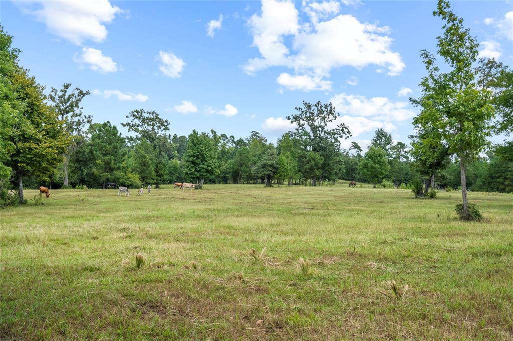 TBD Fm 980, Point Blank, Texas image 18