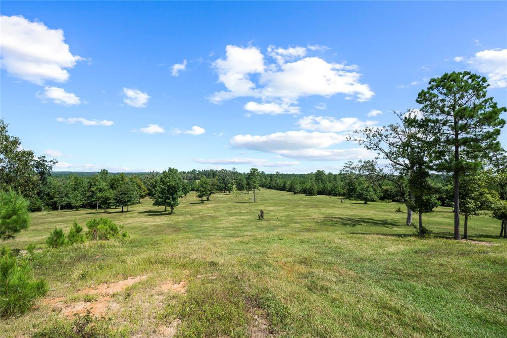 TBD Fm 980, Point Blank, Texas image 24