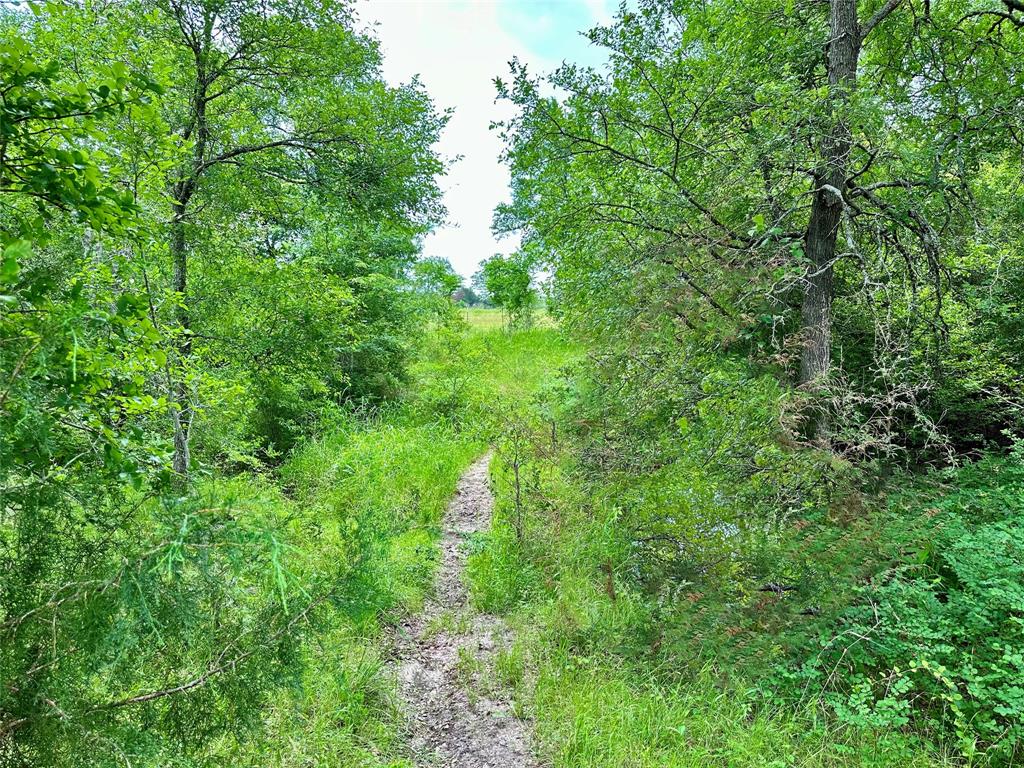 00 Quarry Road, Brenham, Texas image 9