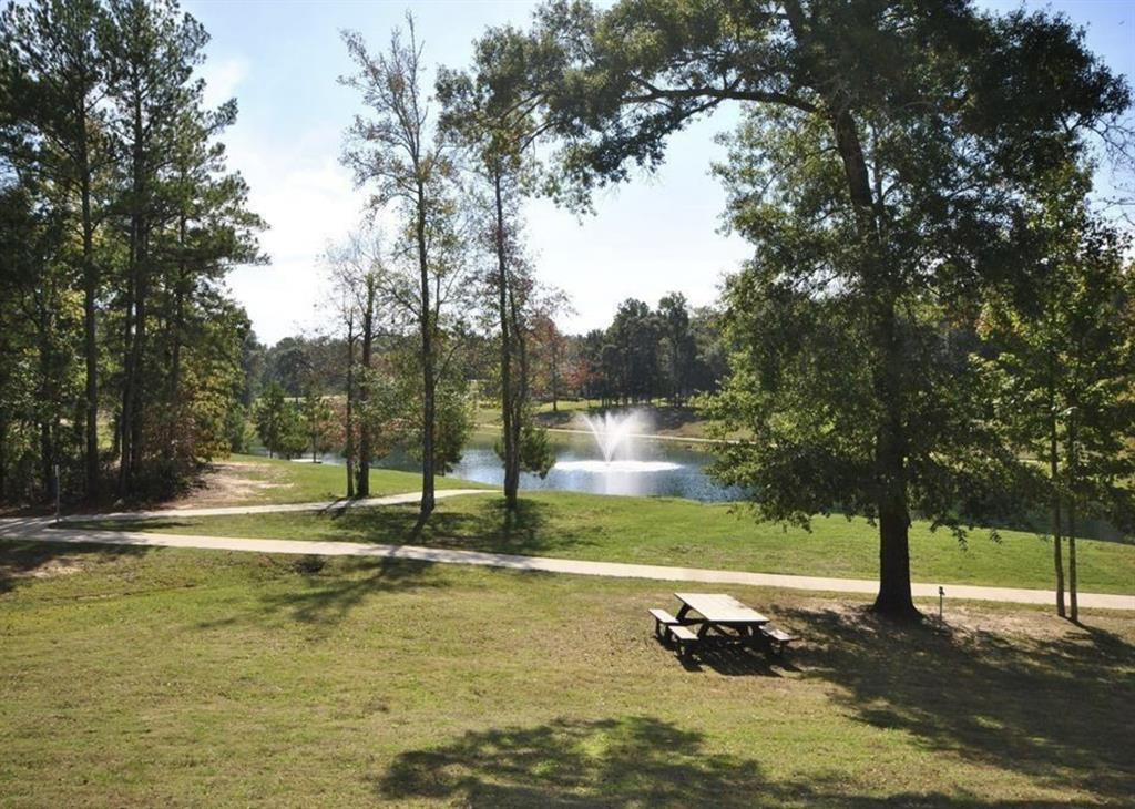 7500 Lonesome Ridge, Montgomery, Texas image 7