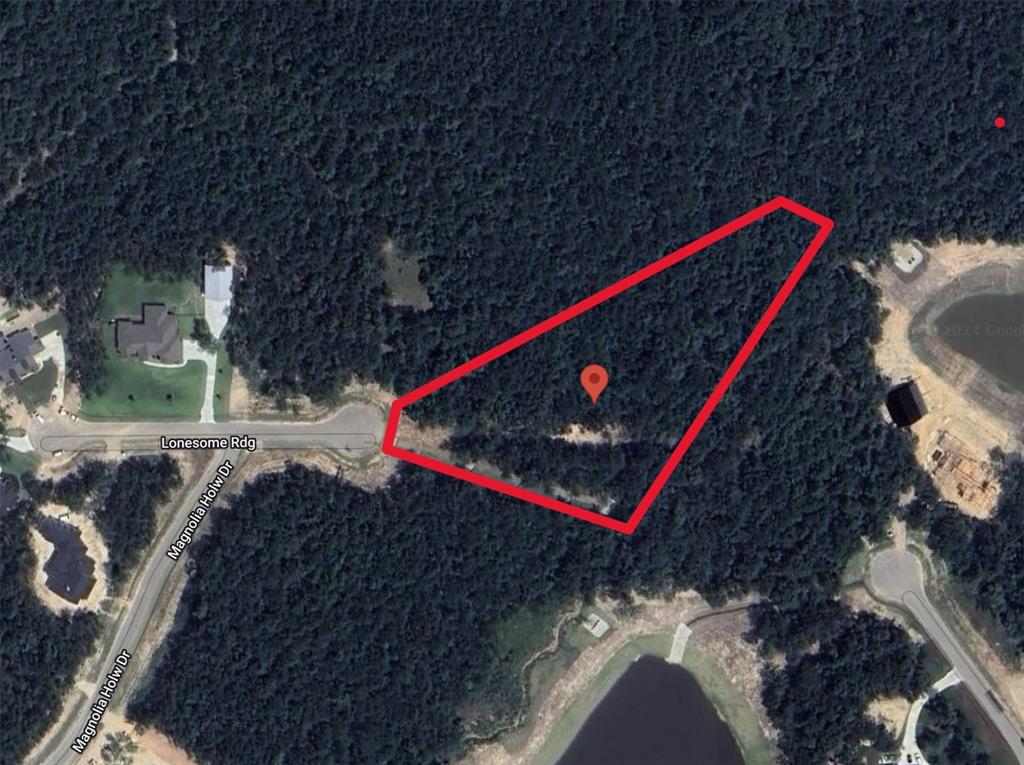 7500 Lonesome Ridge, Montgomery, Texas image 5