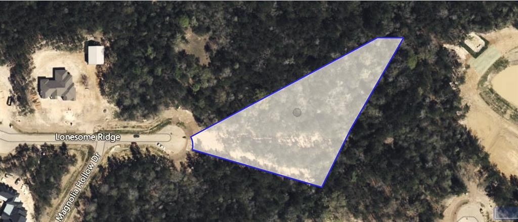 7500 Lonesome Ridge, Montgomery, Texas image 4