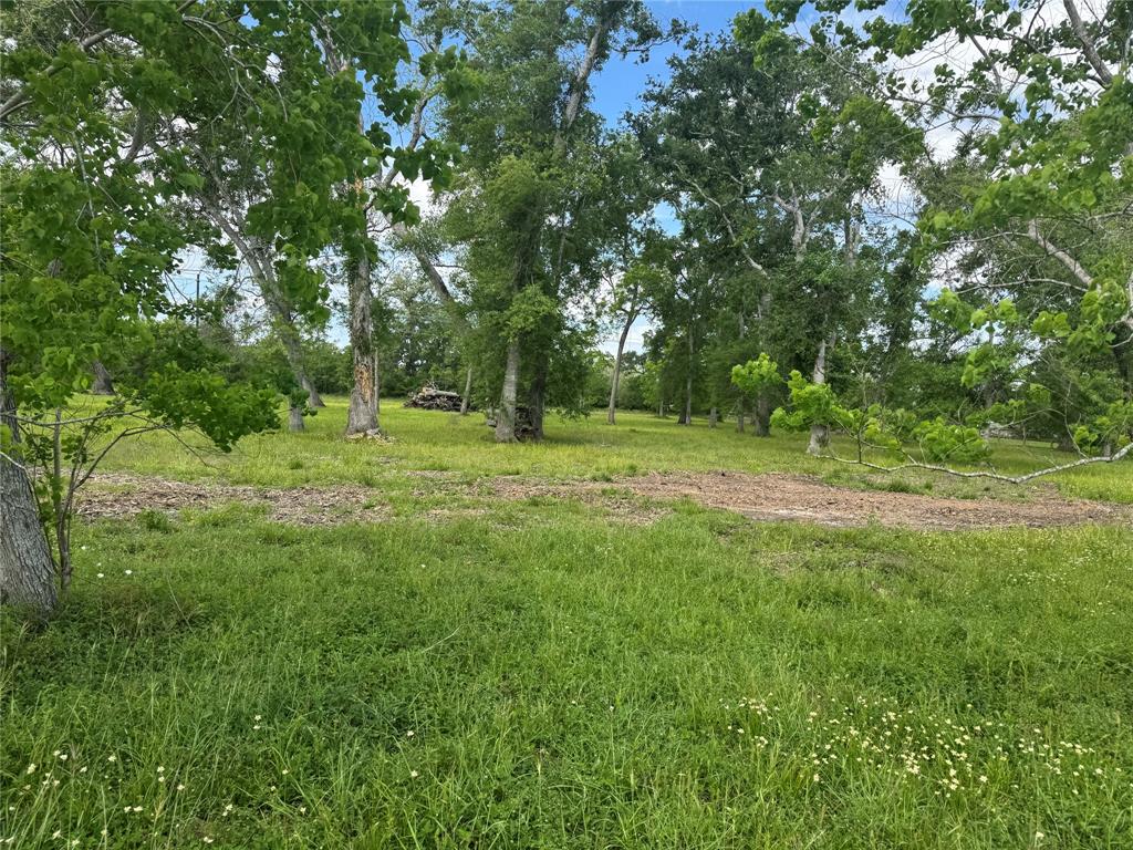 17114 Hamill Drive, Rosharon, Texas image 6