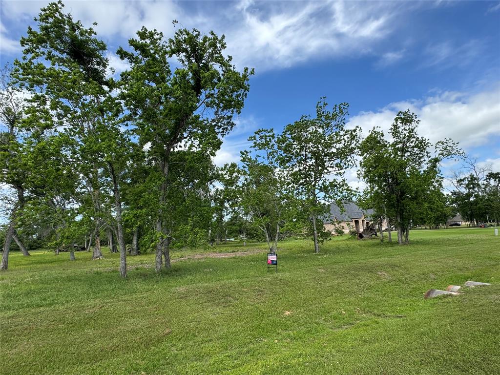 17114 Hamill Drive, Rosharon, Texas image 2
