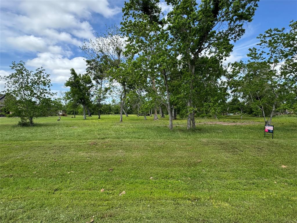 17114 Hamill Drive, Rosharon, Texas image 3