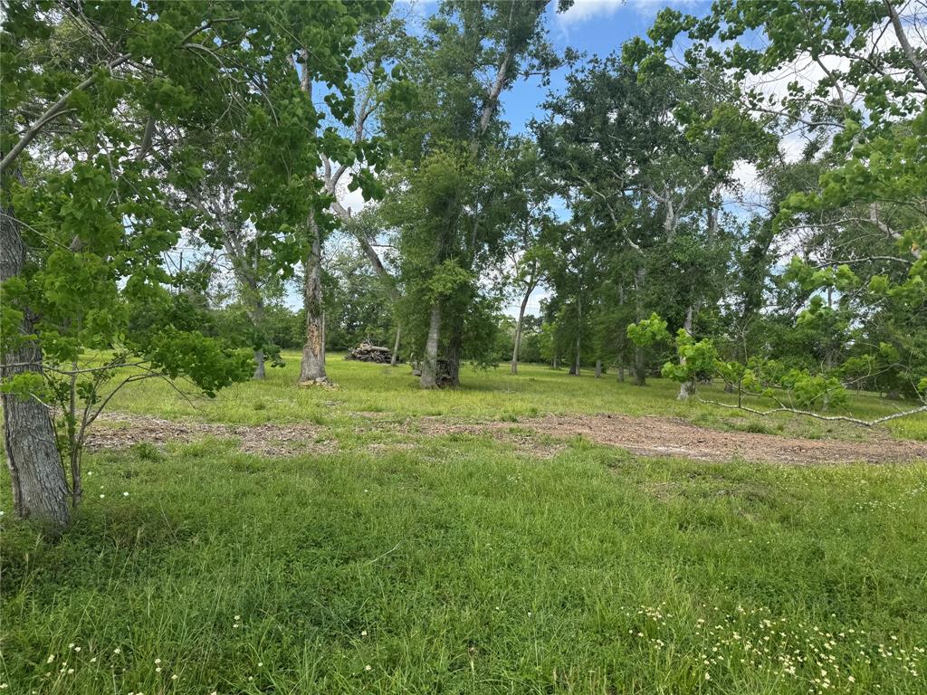 17114 Hamill Drive, Rosharon, Texas image 5