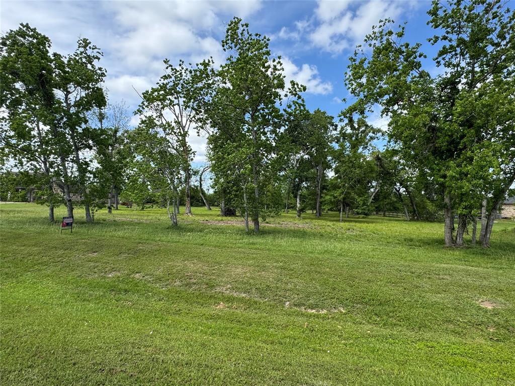 17114 Hamill Drive, Rosharon, Texas image 4
