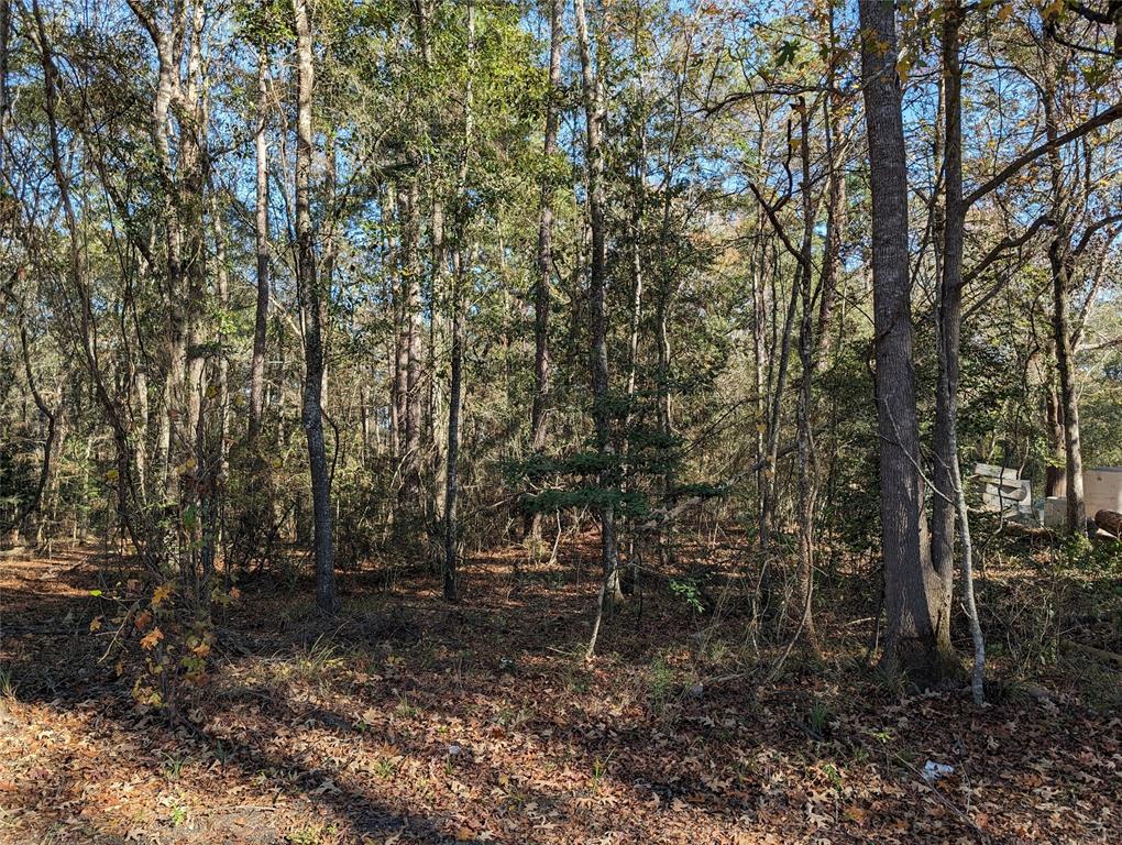 N Westwood, Conroe, Texas image 4