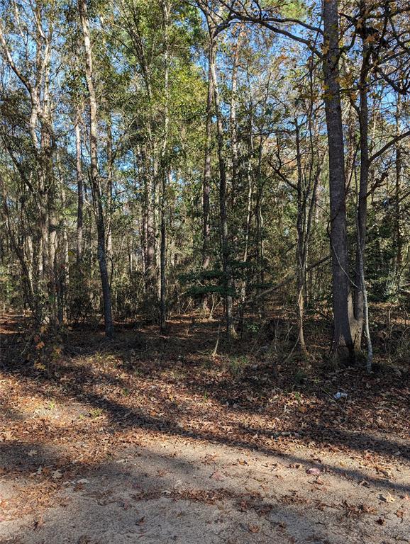 N Westwood, Conroe, Texas image 5