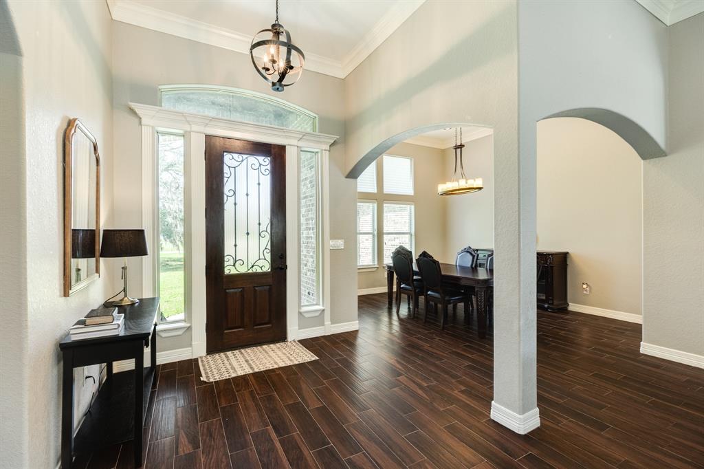 738 Stallion Circle, Angleton, Texas image 17
