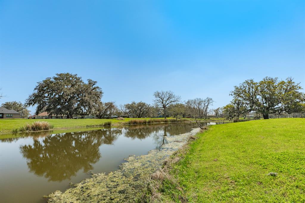 738 Stallion Circle, Angleton, Texas image 5