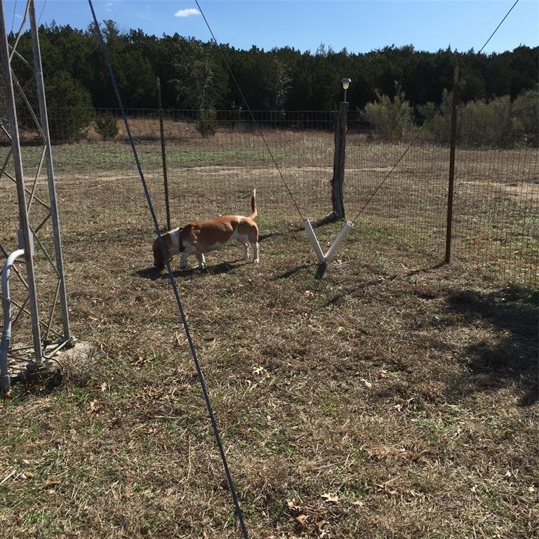 841 Private Road 4201, Cranfills Gap, Texas image 5
