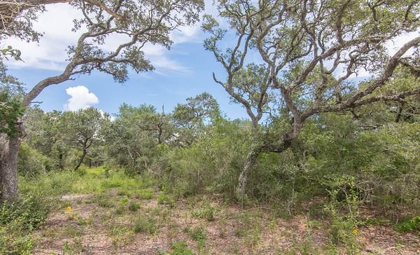 Tract 12 Pr 4061, Edna, Texas image 6