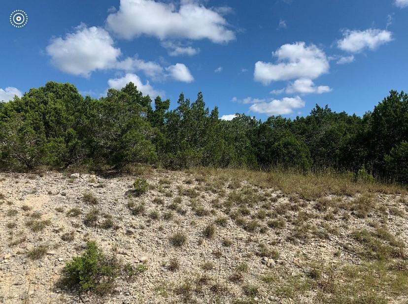 560 Eagles Peak Drive, Fischer, Texas image 9