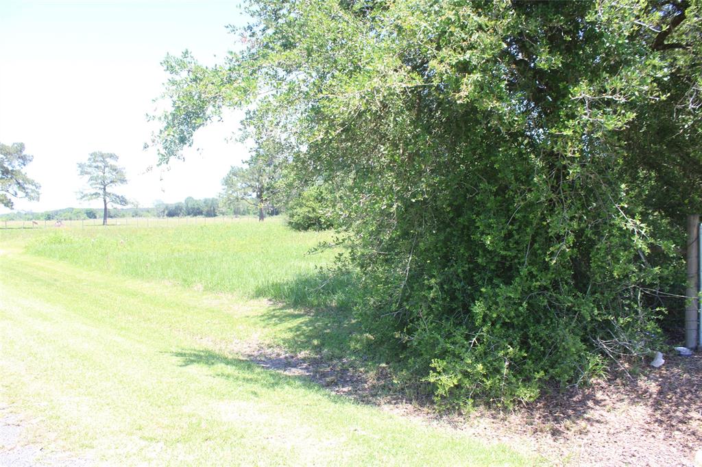 000 Broussard Road, Winnie, Texas image 17