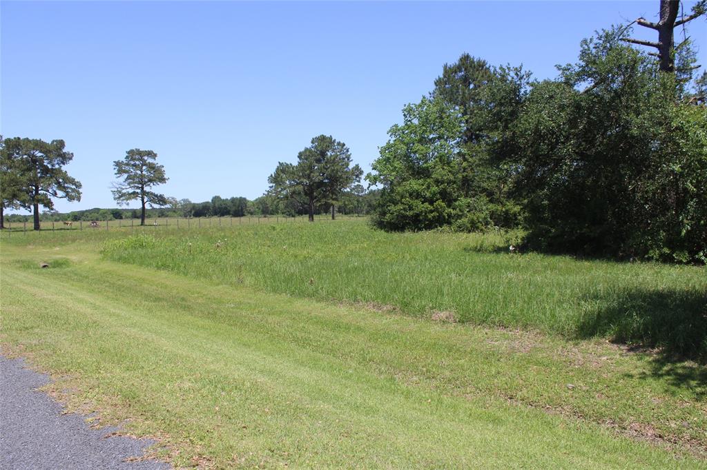 000 Broussard Road, Winnie, Texas image 16