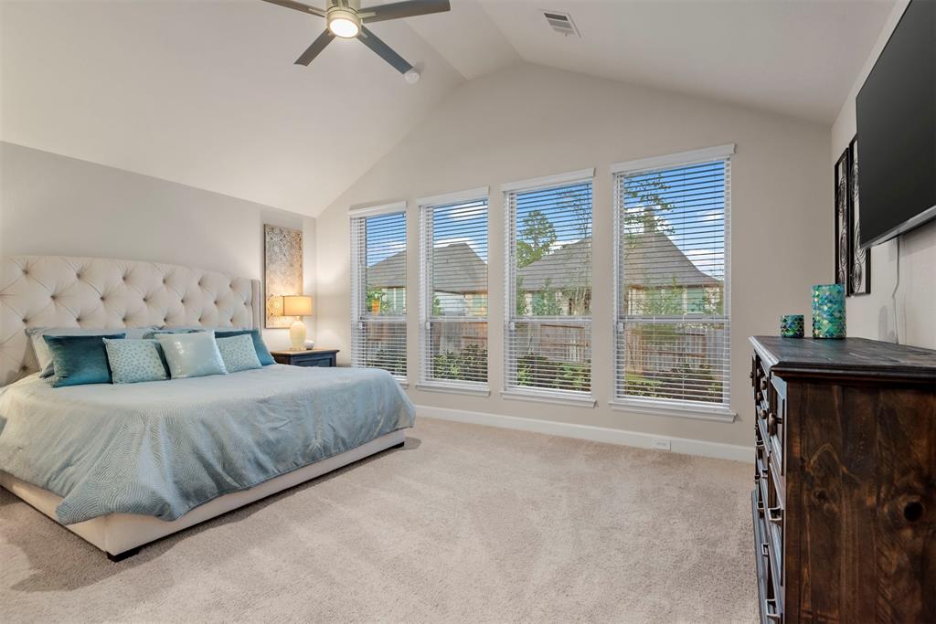 206 Calm Savanna Court, Conroe, Texas image 19