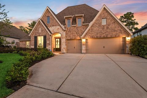206 Calm Savanna Court Conroe TX 77318