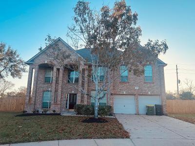 3707 Pine View Court, Pearland, Texas image 2