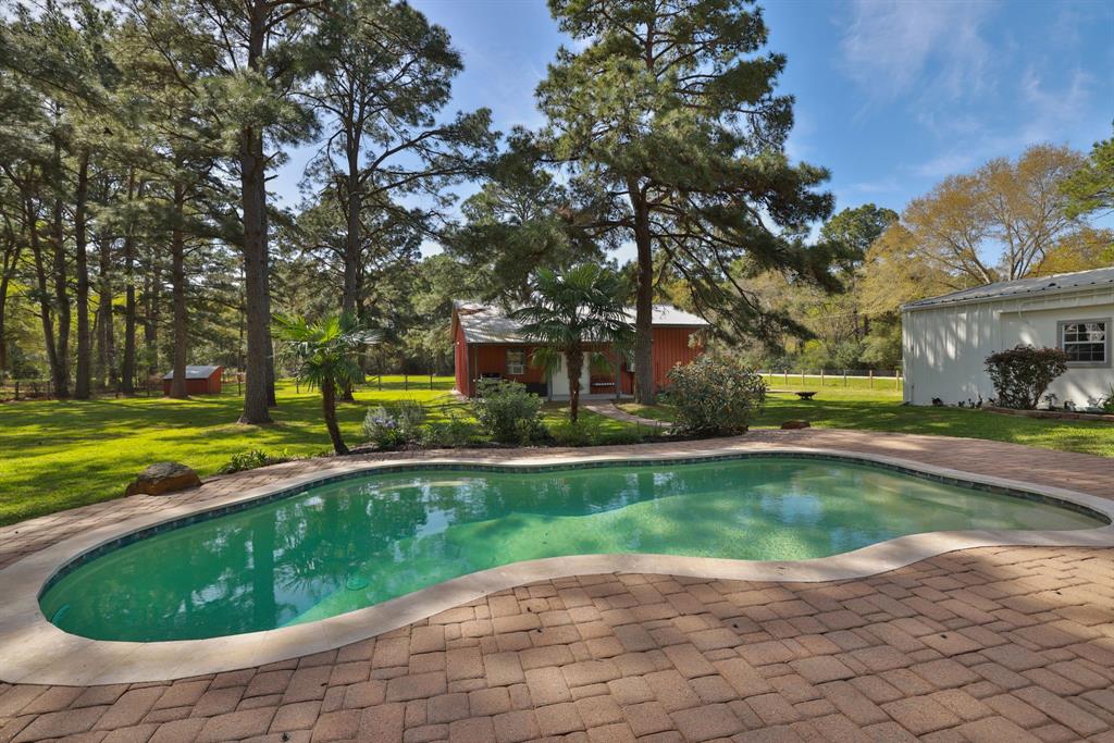17412 Bobcat Trail, Cypress, Texas image 23