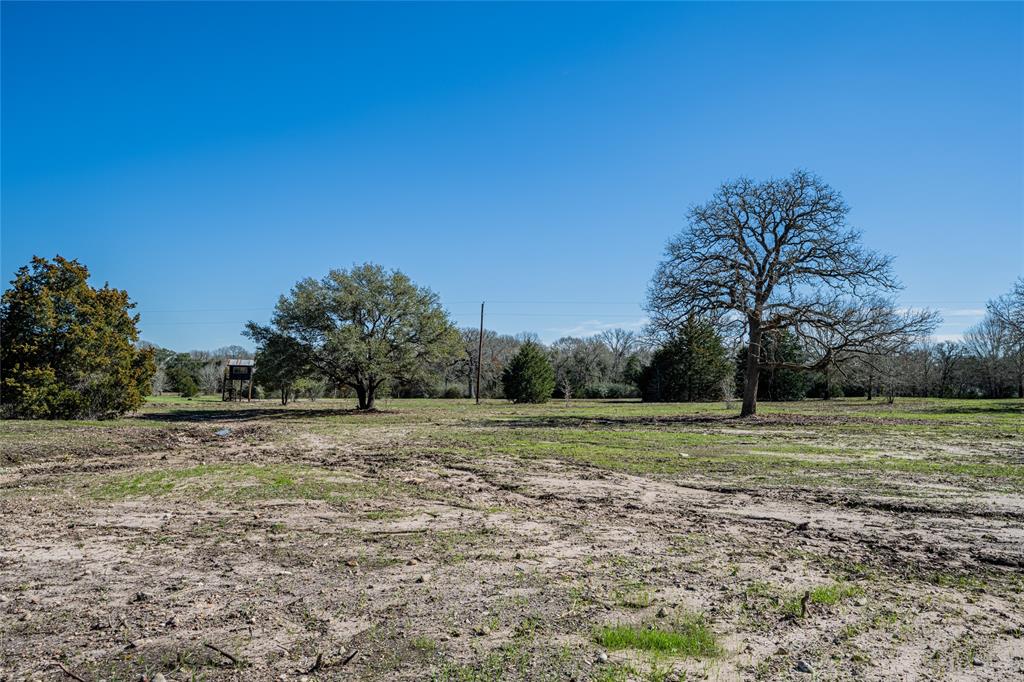 TBD Schoenst Road - Tract 5, Carmine, Texas image 4