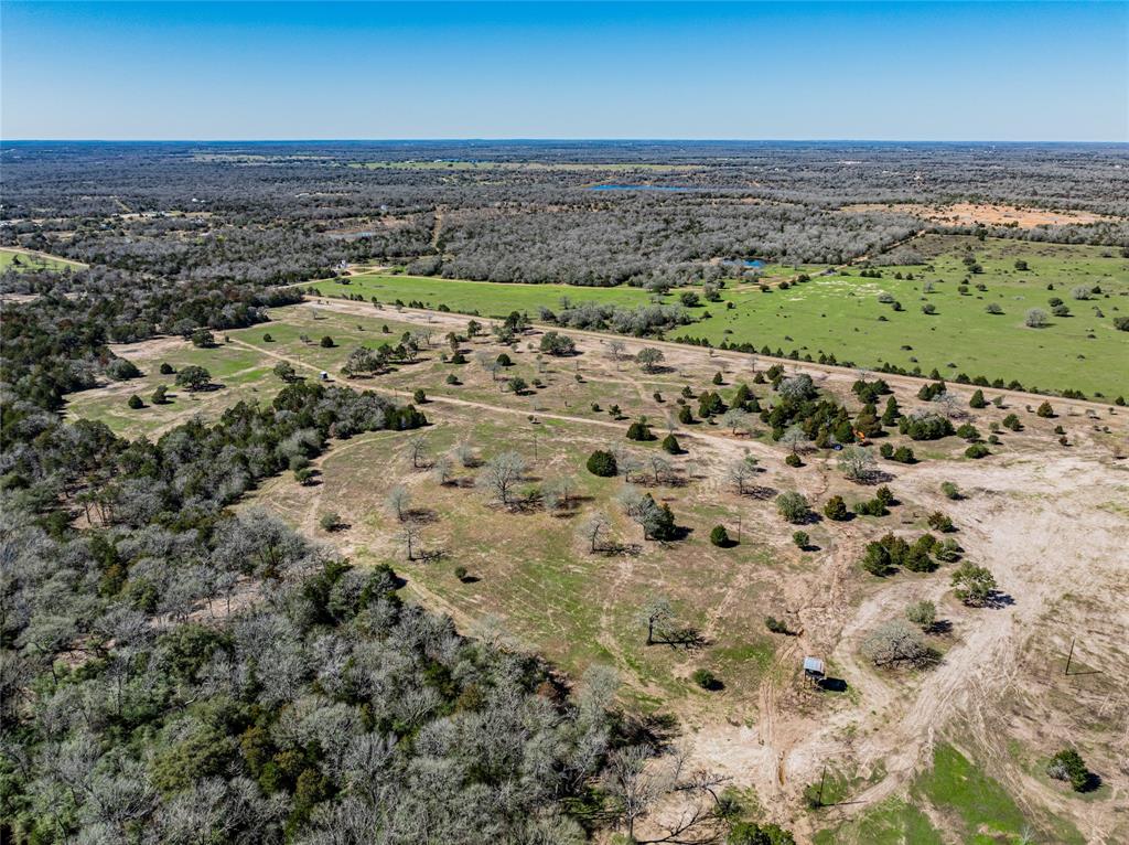 TBD Schoenst Road - Tract 5, Carmine, Texas image 11