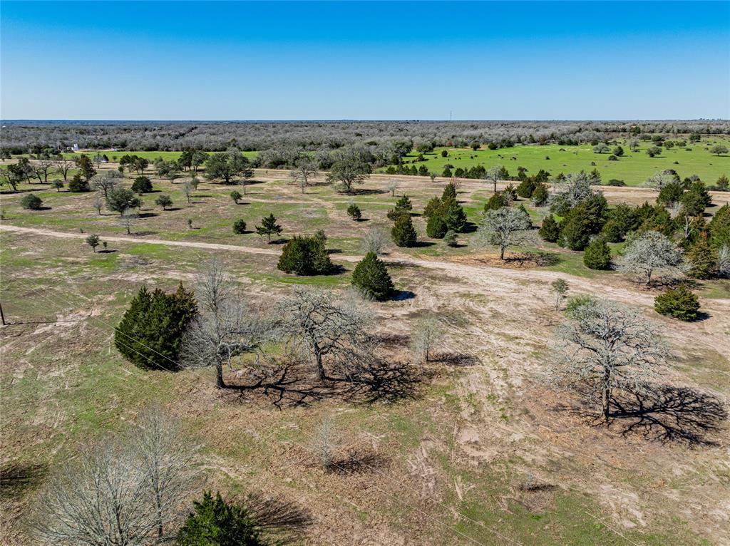 TBD Schoenst Road - Tract 5, Carmine, Texas image 8