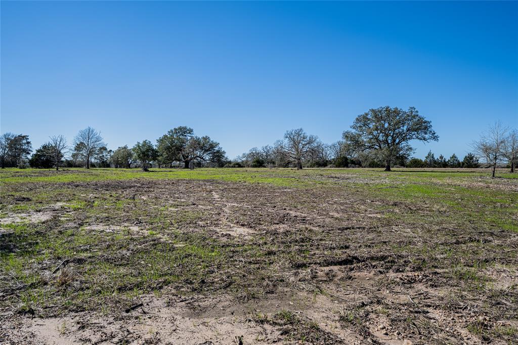 TBD Schoenst Road - Tract 5, Carmine, Texas image 5