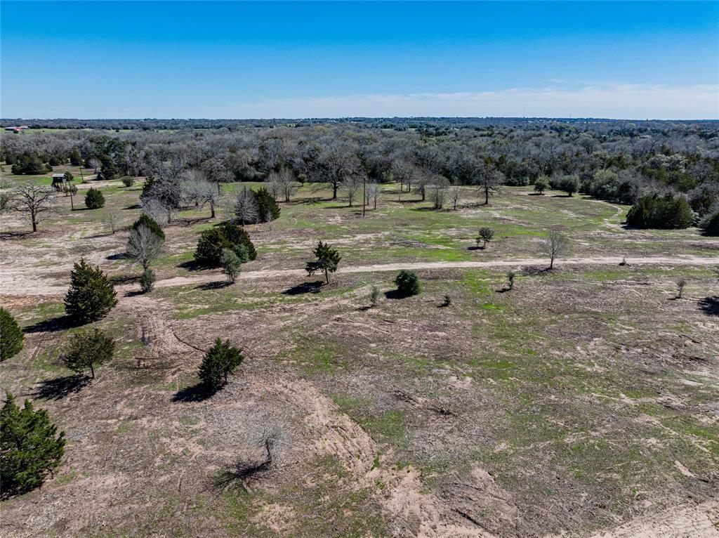 TBD Schoenst Road - Tract 5, Carmine, Texas image 9