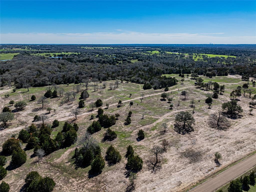 TBD Schoenst Road - Tract 5, Carmine, Texas image 7