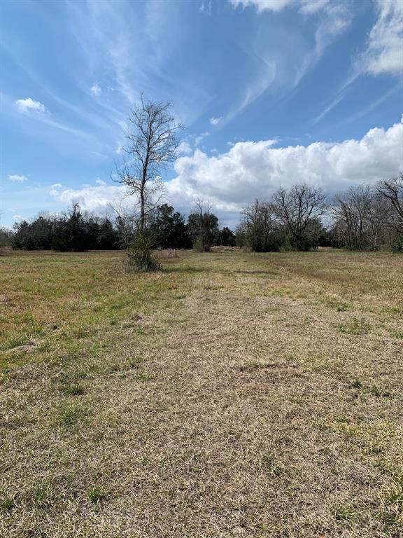 00 S Delaney Lot B Road, Hitchcock, Texas image 3