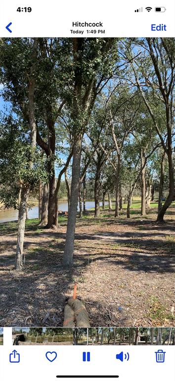 00 S Delaney Lot B Road, Hitchcock, Texas image 11