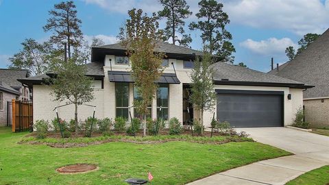 8403 Willow Whisper Lane Magnolia TX 77354