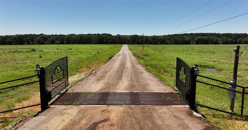 Lot 85 County Rd 231, Centerville, Texas image 1