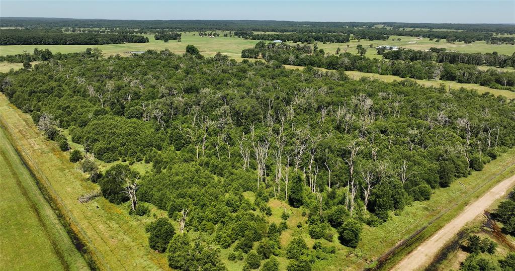 Lot 85 County Rd 231, Centerville, Texas image 8