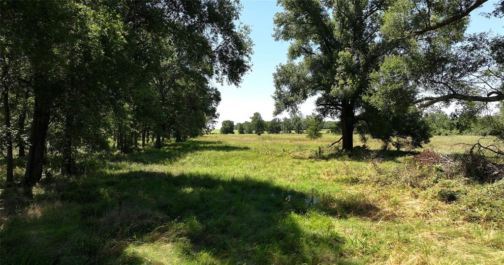 Lot 85 County Rd 231, Centerville, Texas image 7