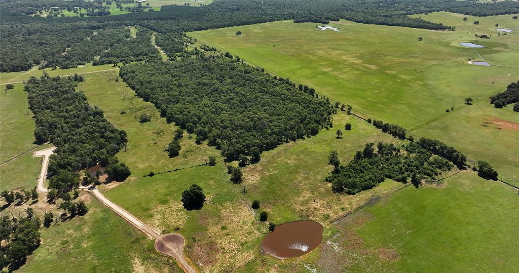 Lot 85 County Rd 231, Centerville, Texas image 9