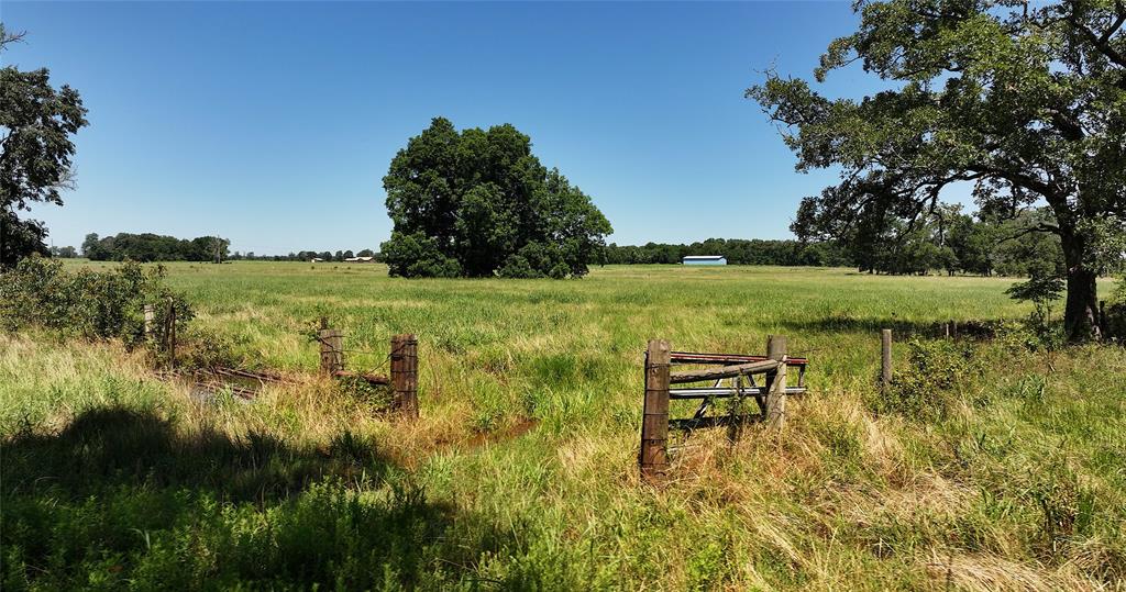 Lot 85 County Rd 231, Centerville, Texas image 6