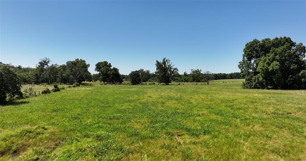 Lot 85 County Rd 231, Centerville, Texas image 5