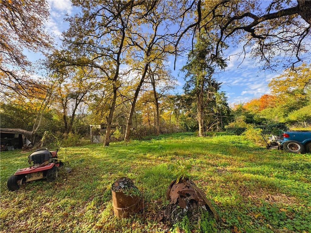 8187 County Road 342, Milano, Texas image 17