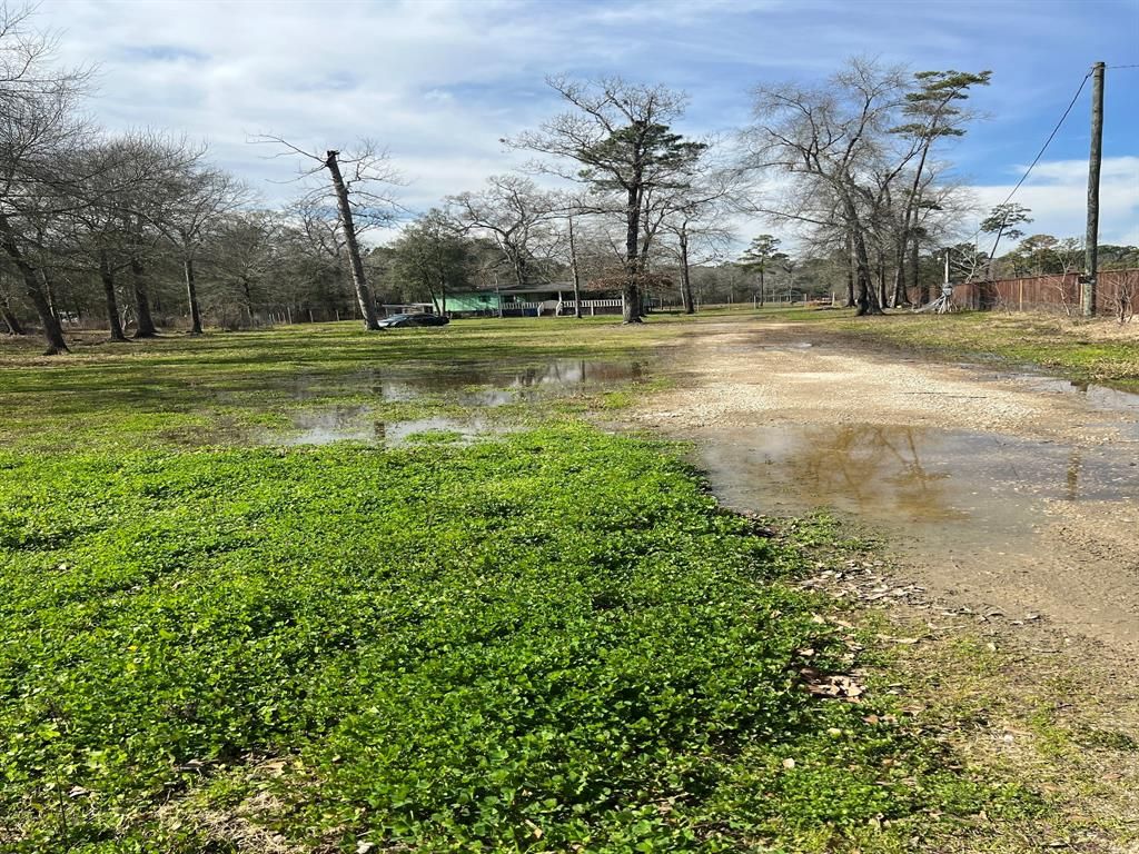 Photo of 20006 Spring Hill Lane, Porter, TX 77365 (MLS # 18518271)